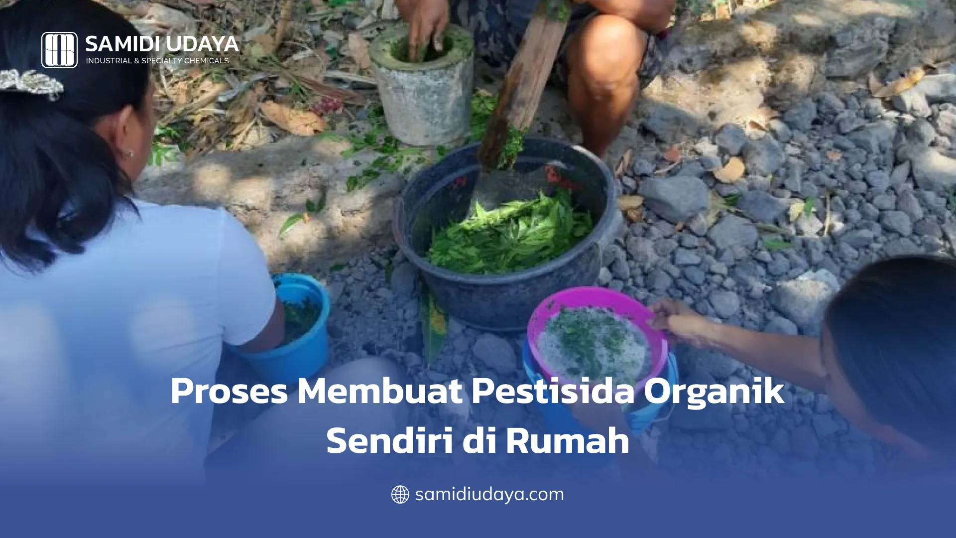 Proses Membuat Pestisida Organik Sendiri di Rumah