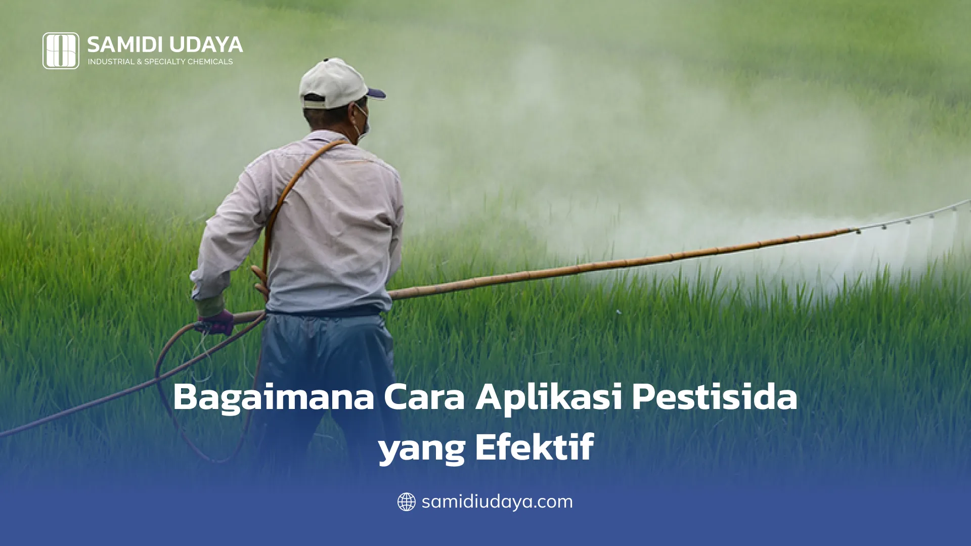 Bagaimana Cara Aplikasi Pestisida yang Efektif