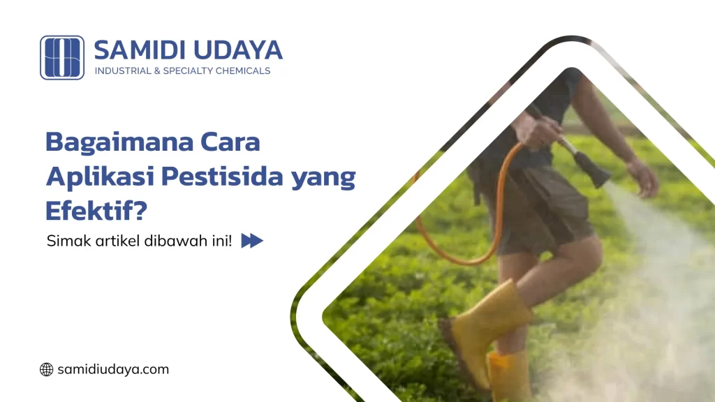 Bagaimana Cara Aplikasi Pestisida yang Efektif?