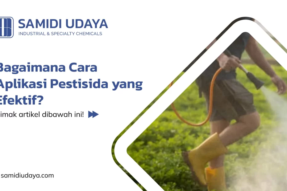 Bagaimana Cara Aplikasi Pestisida yang Efektif?
