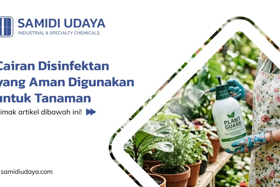 Cairan Disinfektan yang Aman Digunakan untuk Tanaman
