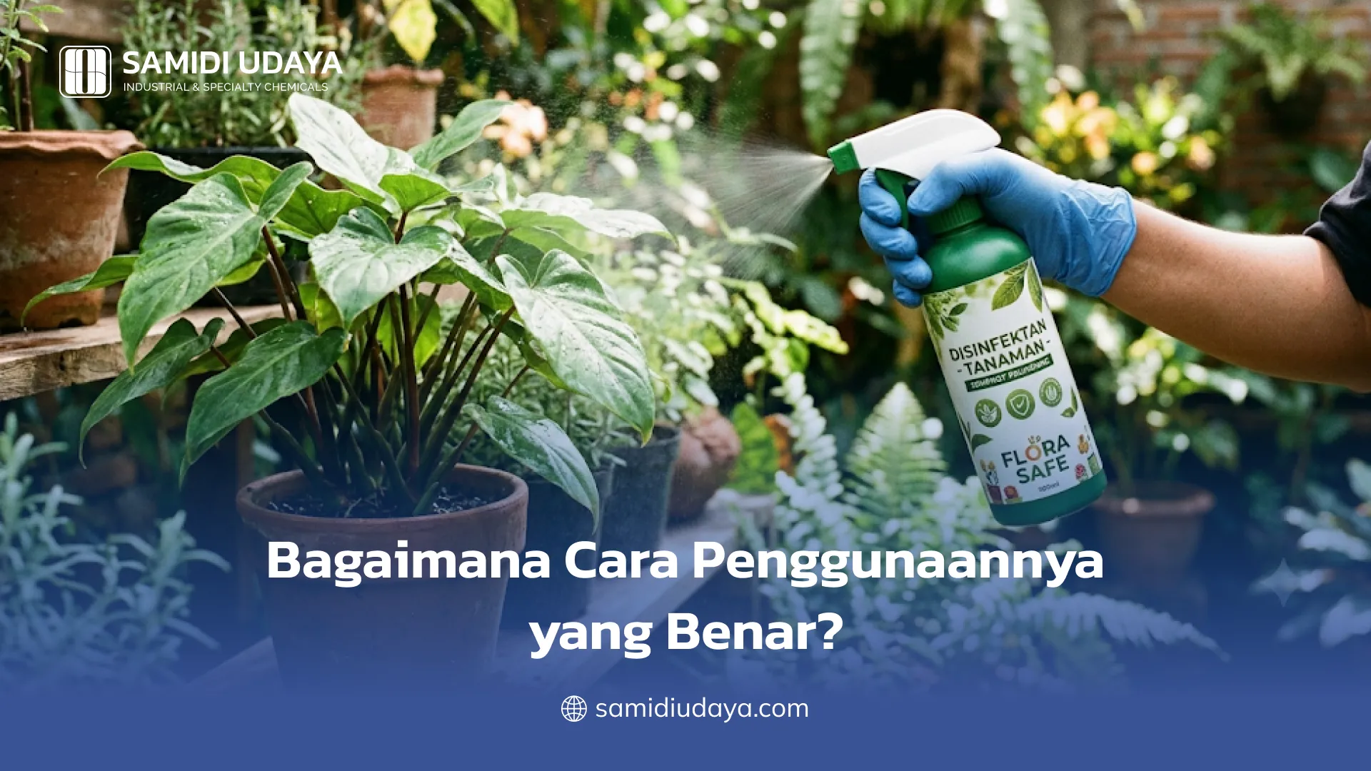 Bagaimana Cara Penggunaannya yang Benar?