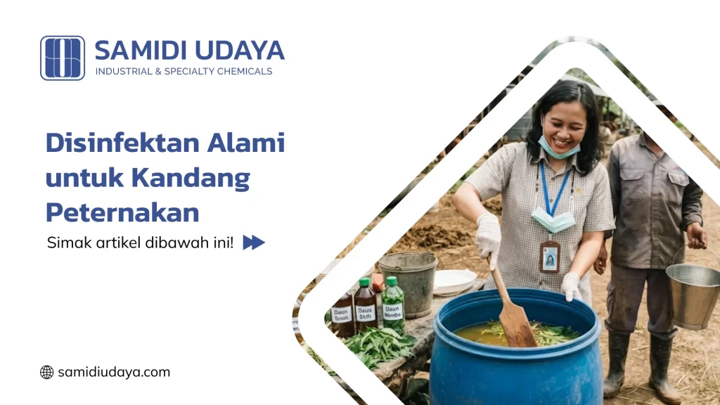Disinfektan Alami untuk Kandang Peternakan