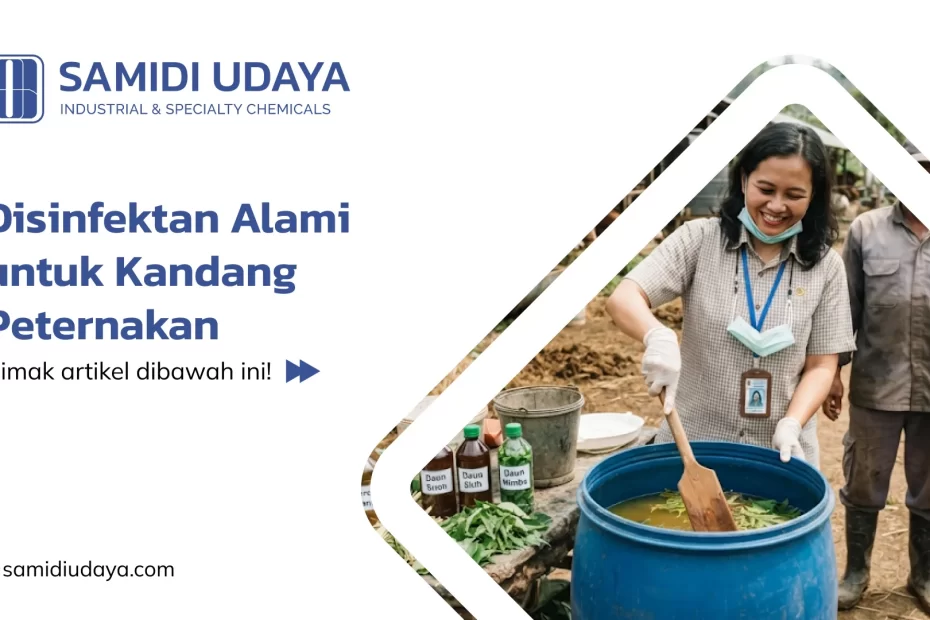 Disinfektan Alami untuk Kandang Peternakan
