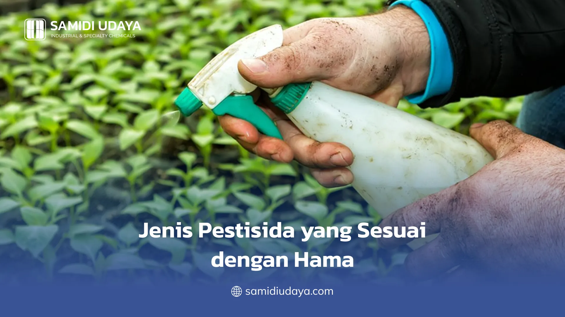 Jenis Pestisida yang Sesuai dengan Hama