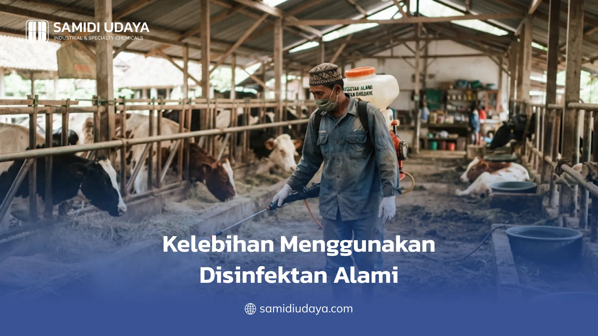 Kelebihan Menggunakan Disinfektan Alami