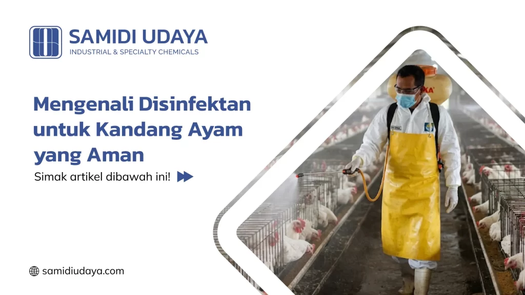 Mengenali Disinfektan untuk Kandang Ayam yang Aman