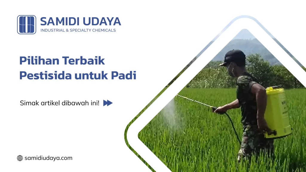 Pilihan Terbaik Pestisida untuk Padi