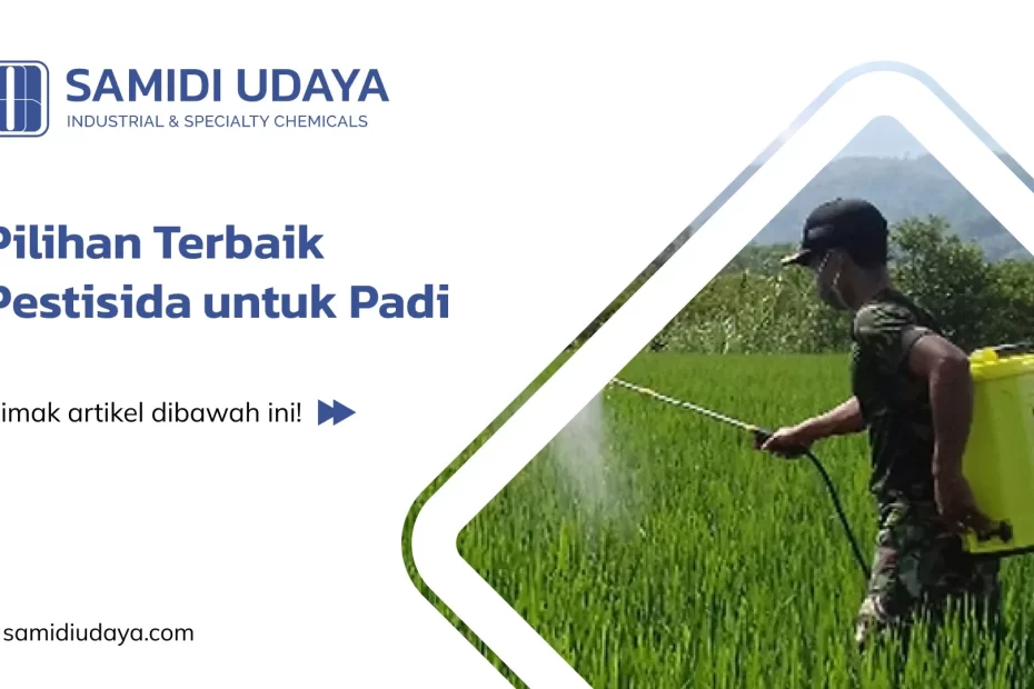 Pilihan Terbaik Pestisida untuk Padi