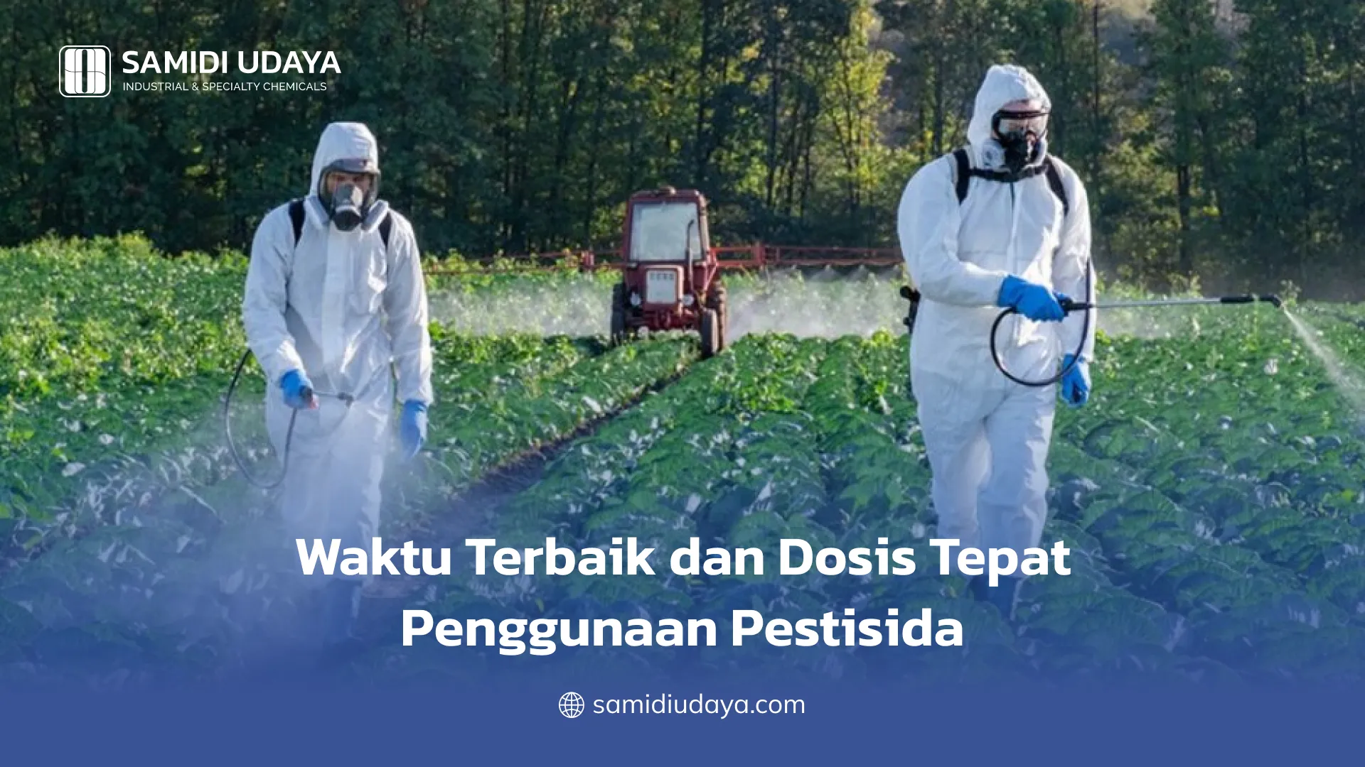 Waktu Terbaik dan Dosis Tepat Penggunaan Pestisida