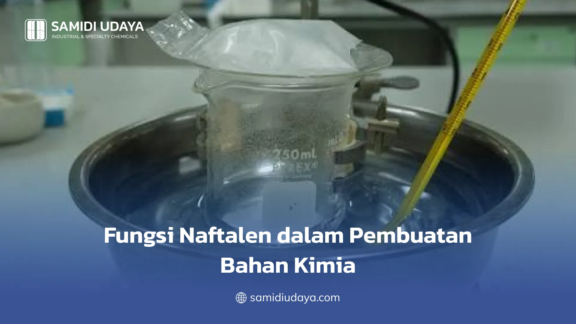 Fungsi Naftalen dalam Pembuatan Bahan Kimia