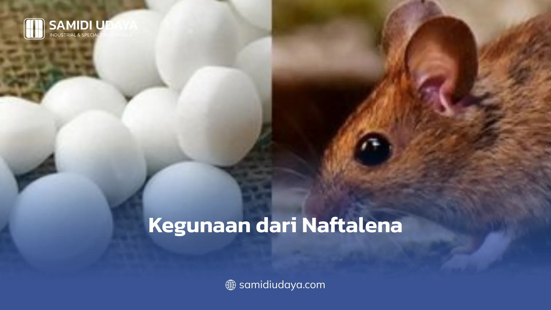 Kegunaan dari Naftalena