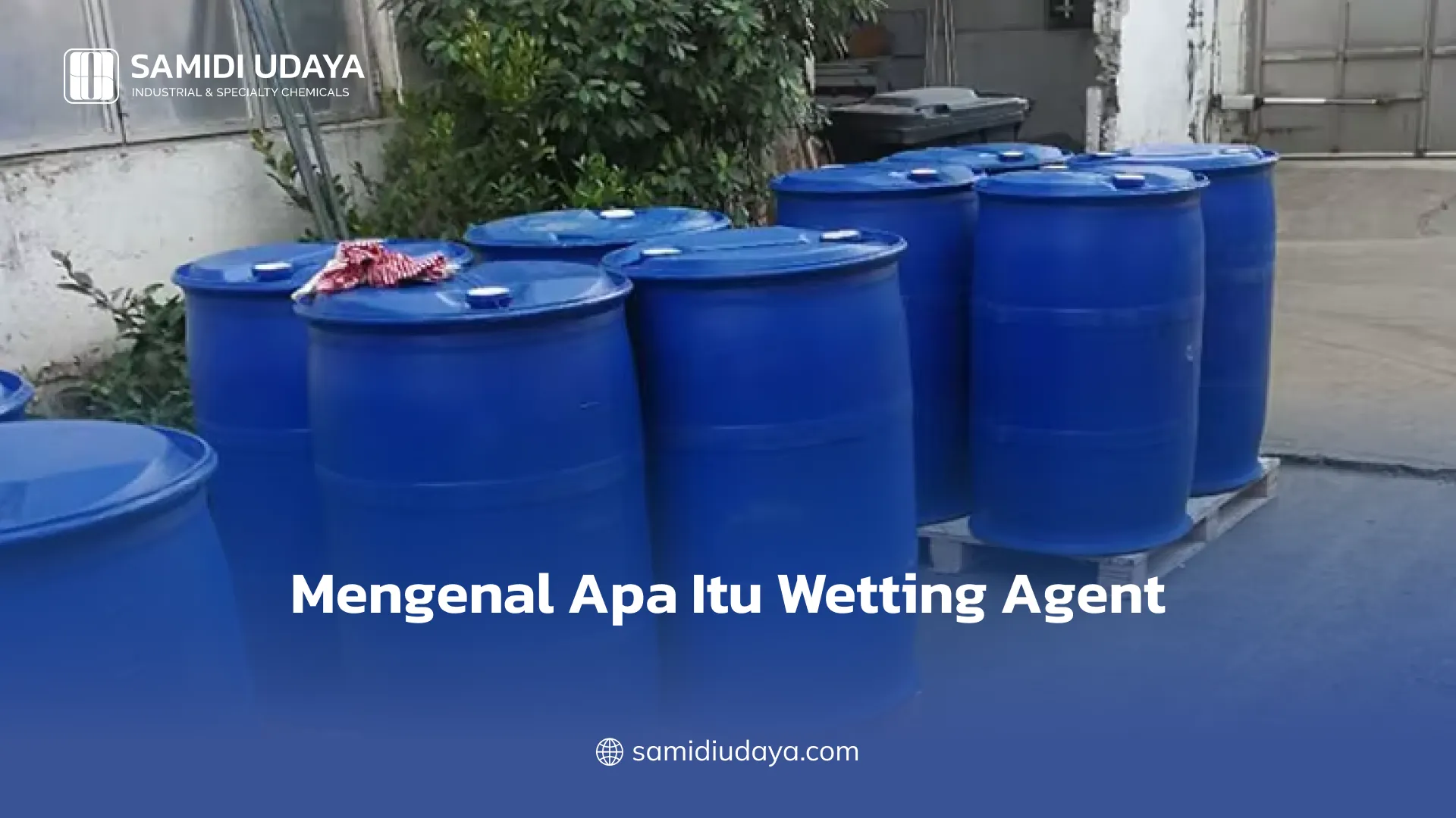 Mengenal Apa Itu Wetting Agent